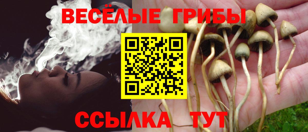 Галлюциногенные грибы Psilocybine cubensis Рославль